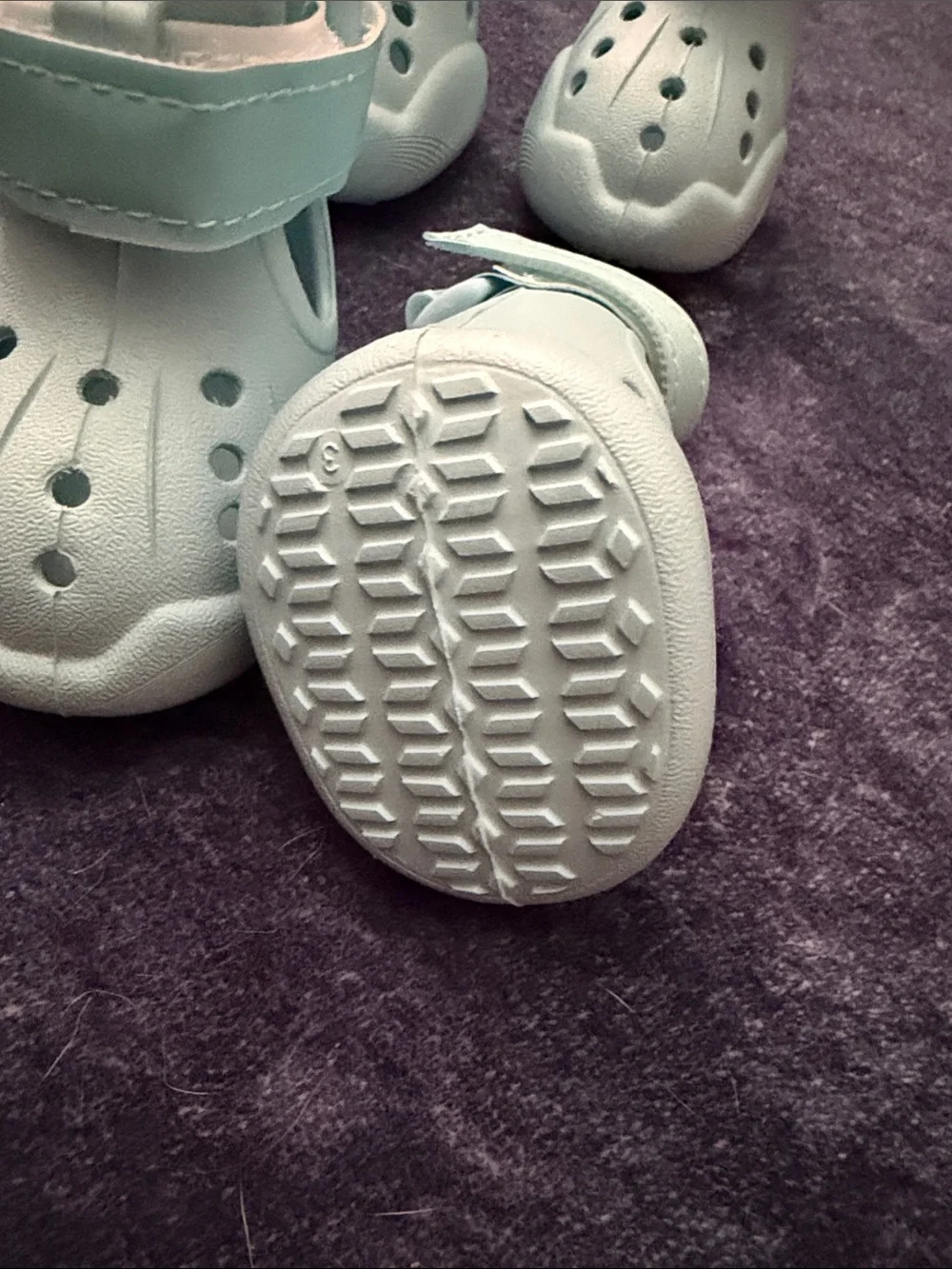 Light Blue Dog Crocs!